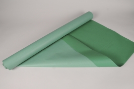 B328QX Rouleau de papier kraft vert / vert clair 80cmx50m