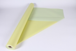 B653QX Rouleau de papier kraft anis / vert clair 80cmx50m