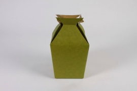 B665QX Paquet de 10 vases porte-bouquet vert 11x11cm H17.5cm