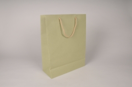 Bag of 12 green kraft bags 27x12cm H37cm