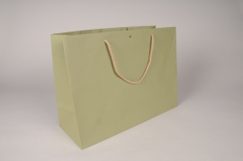 Bag of 12 green kraft bags 39x15cm H29cm