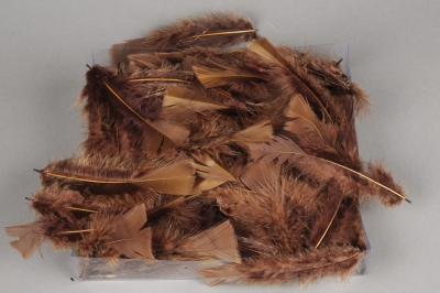 p139lw Bo�te de plumes marron 45g
