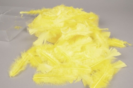 pl42lw ox of turkey feathers yellow 45gr