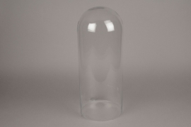 A033MA Cloche en verre D21.5cm 53cm