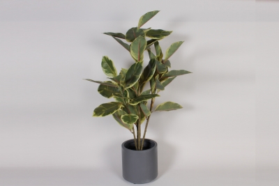 DI-000356 Caoutchouc artificiel vert avec pot gris H100cm