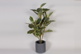 DI-000356 Green artificial rubber tree H100cm