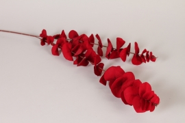 DI-000366 Eucalyptus artificiel en velours rouge H80cm