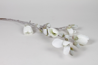 DI-000390 Magnolia artificiel givr� blanc H86cm