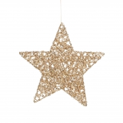 DQ-000695 Champagne plastic star D25cm