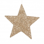 DQ-000697 Champagne plastic star D40cm