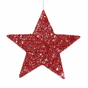 DQ-000698 Red plastic star D40cm