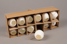 E000J9 Box of 12 eggs D4cm