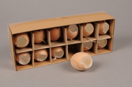 E001J9 Box of 12 eggs D4cm