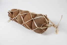 EC-000146 Set of 5 natural coconuts D12cm