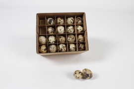EC-000152 Box of 60 quail eggs D2.5cm