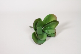 ED-000005 Artificial green kalanchoe H22cm