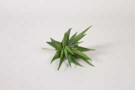 ED-000008 Aloe artificiel vert H18cm