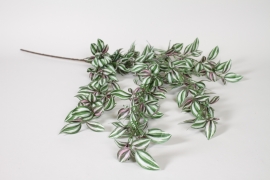 ED-000010 Artificial white, green and pink tradescantia H104cm
