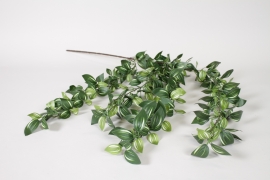 ED-000011 Artificial green and white tradescantia H104cm