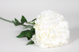 ED-000012 Artificial white peony H80cm