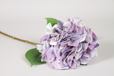 ED-000020 Hortensia artificiel lavande H65cm