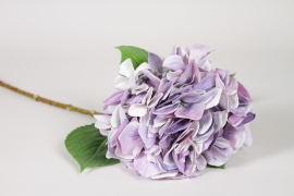 ED-000020 Hortensia artificiel lavande H65cm