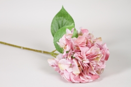 ED-000021 Hortensia artificiel rose fonc&eacute; H65cm
