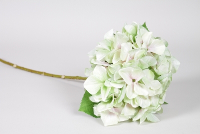ED-000022 Light green artificial hydrangea H65cm