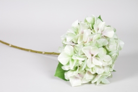 ED-000022 Light green artificial hydrangea H65cm