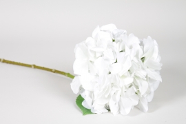 ED-000023 Hortensia artificiel blanc H65cm