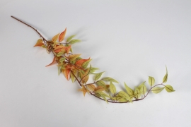 EE-000297 Light orange artificial Ruscus H100cm