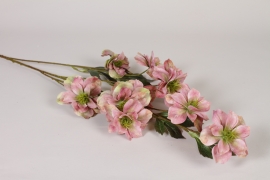 EE-000327 Hellebore artificielle vieux rose H112cm