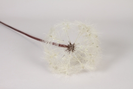 EE-000330 Dandelion artificiel crème H91cm