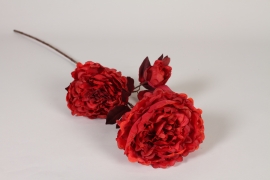 EE-000331 Pivoine artificielle rouge H80cm