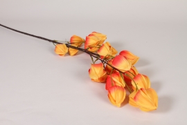EE-000332 Physalis artificiel orange H90cm