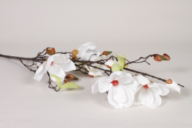 EE-000336 Branche de magnolia artificielle blanc H105cm