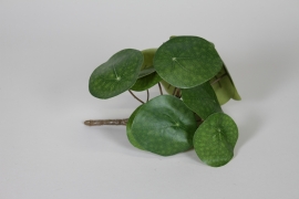 EE-000338 Piquet de pilea artificiel vert D22cm