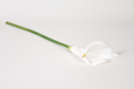 EE-000343 Artificial white calla lily H70cm