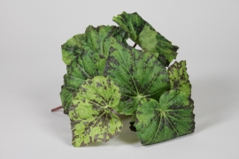 EE-000346 Piquet de b&eacute;gonia artificiel vert 2 tons H25cm