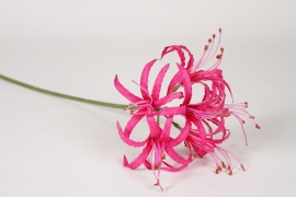 EE-000355 N&eacute;rine artificielle rose fushia H63cm