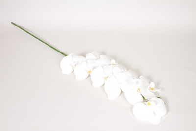 EE-000356 Artificial white phalaenopsis branch H100cm