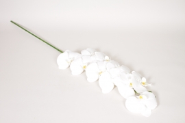 EE-000356 Artificial white phalaenopsis branch H100cm