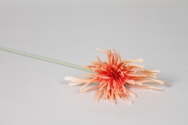 EE-000362 Gerbera spider artificiel orange H60cm