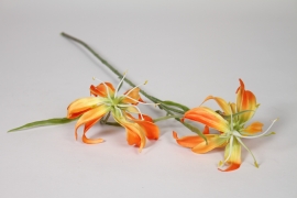 EE-000365 Artificial orange gloriosa H58cm