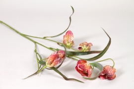 EE-000367 Fritillaire artificiel rose H58cm