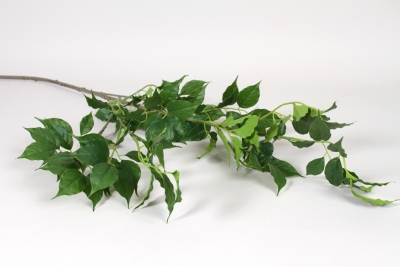 EE-000394 Branche de sureau artificiel vert H105cm