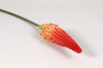 EE-000400 Kniphofia artificiel rouge orang� H85cm