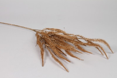 EE-000408 Branche d'amaranthe artificiel dor� H70cm