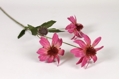 EE-000412 Rudbeckia artificiel rose H70cm