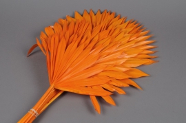 fe19ab Orange dried palm sun H60cm 